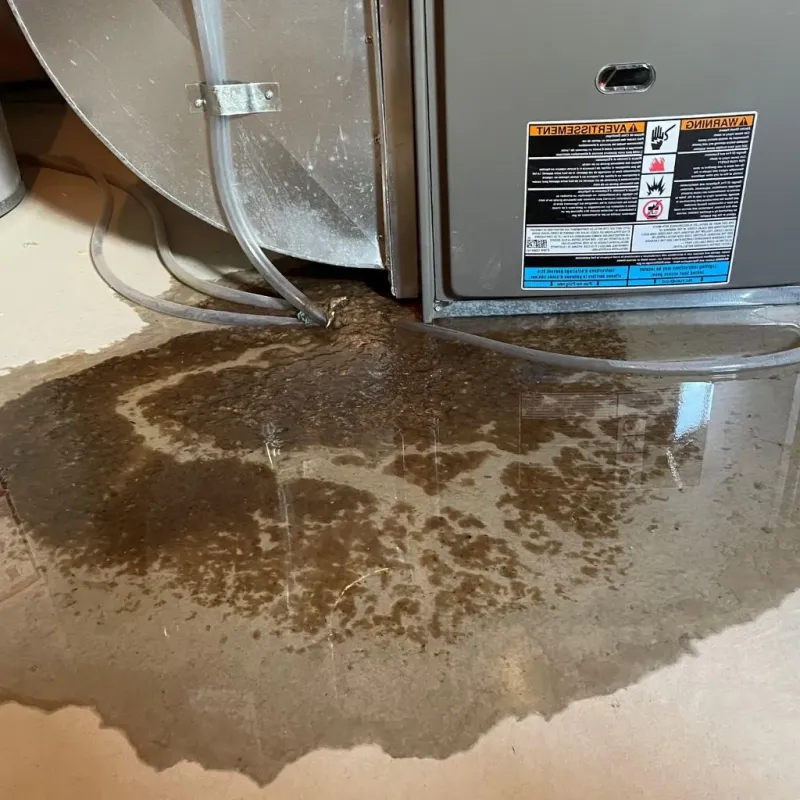 Pipe Burst and Leak Restoration in Montezuma, IA