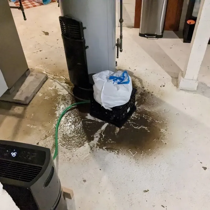 Sewage Backup Cleanup Service in Montezuma, IA